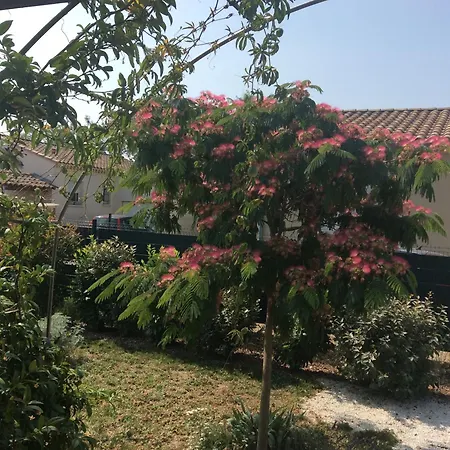 Chambre D Hotes Dans Le Vaucluse Mazan Exterior photo