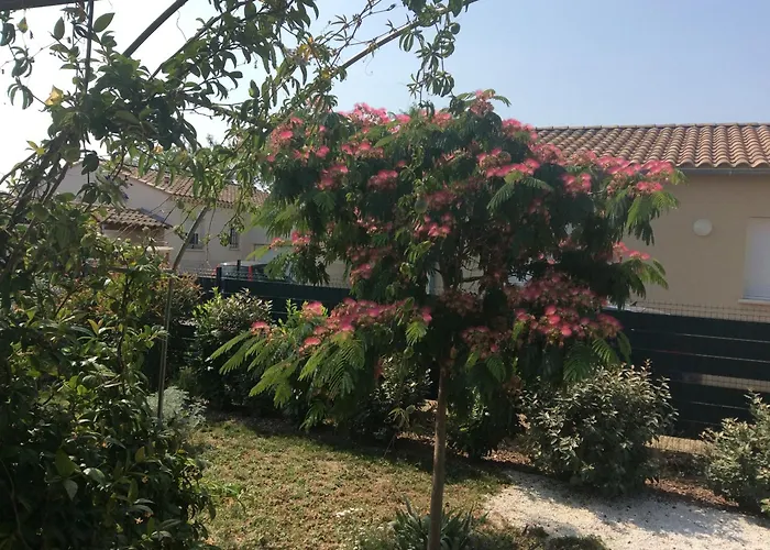 Chambre D Hotes Dans Le Vaucluse